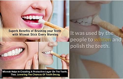 קסטל רויאל טבעי מסורתי מיסוואק פילו לעיסת מקל מברשת שיניים עבור לבן שיניים 3 יחידות