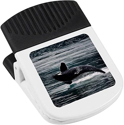 Azeeda 'Orca Whale' Clip Magnetic