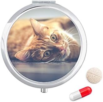 בעלי החיים צהוב חתול צילום תמונה גלולת מקרה כיס רפואת אחסון תיבת מיכל מתקן